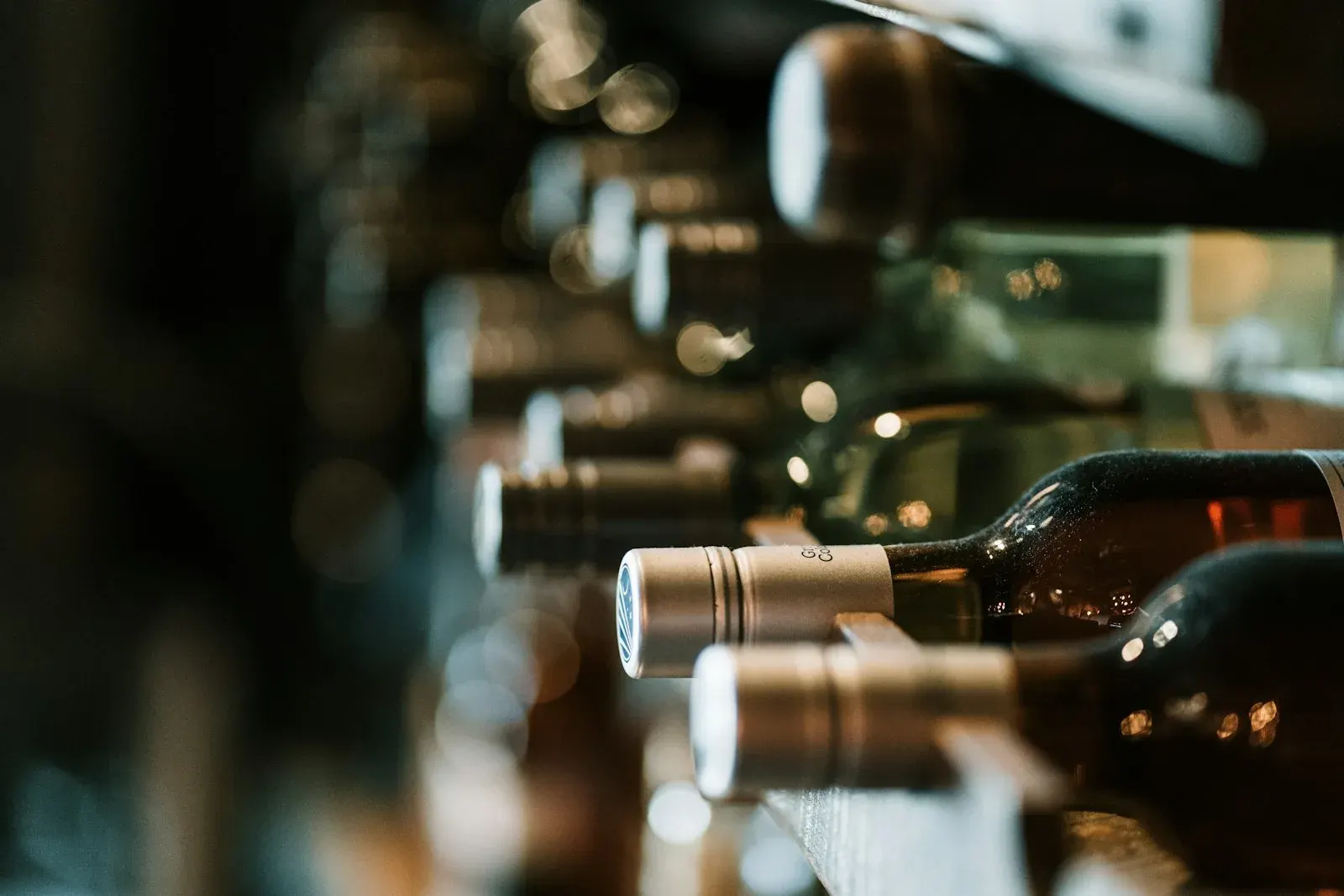 Cantina Nobile — progetto Vino
