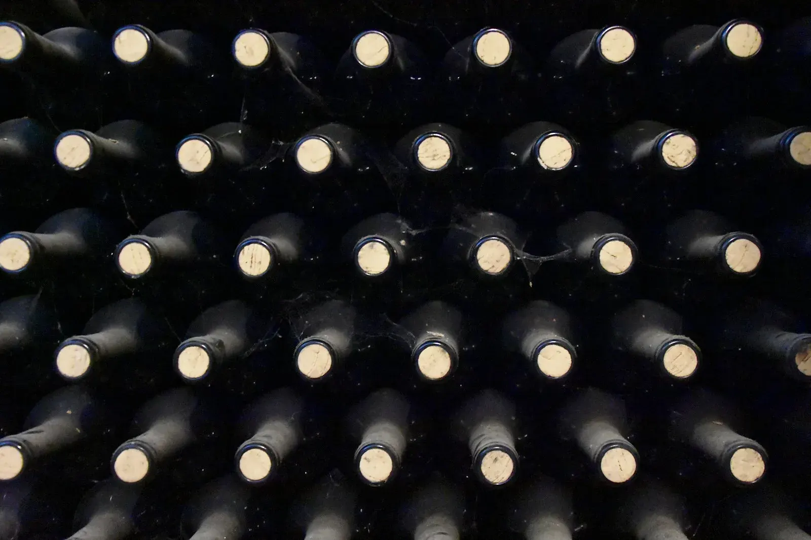 Bottiglie a riposo nella cantina di famiglia, tra polvere e ragnatele d'annata