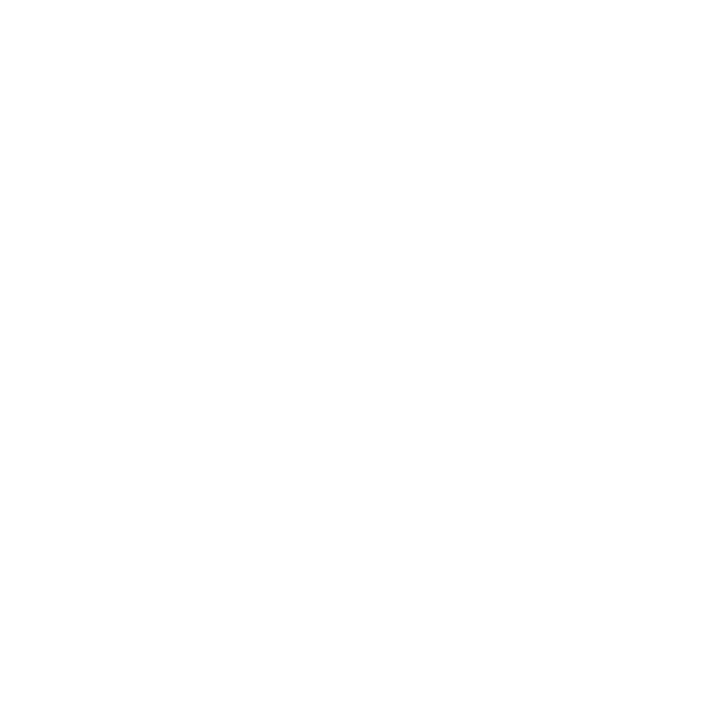 Logo originale WordPress