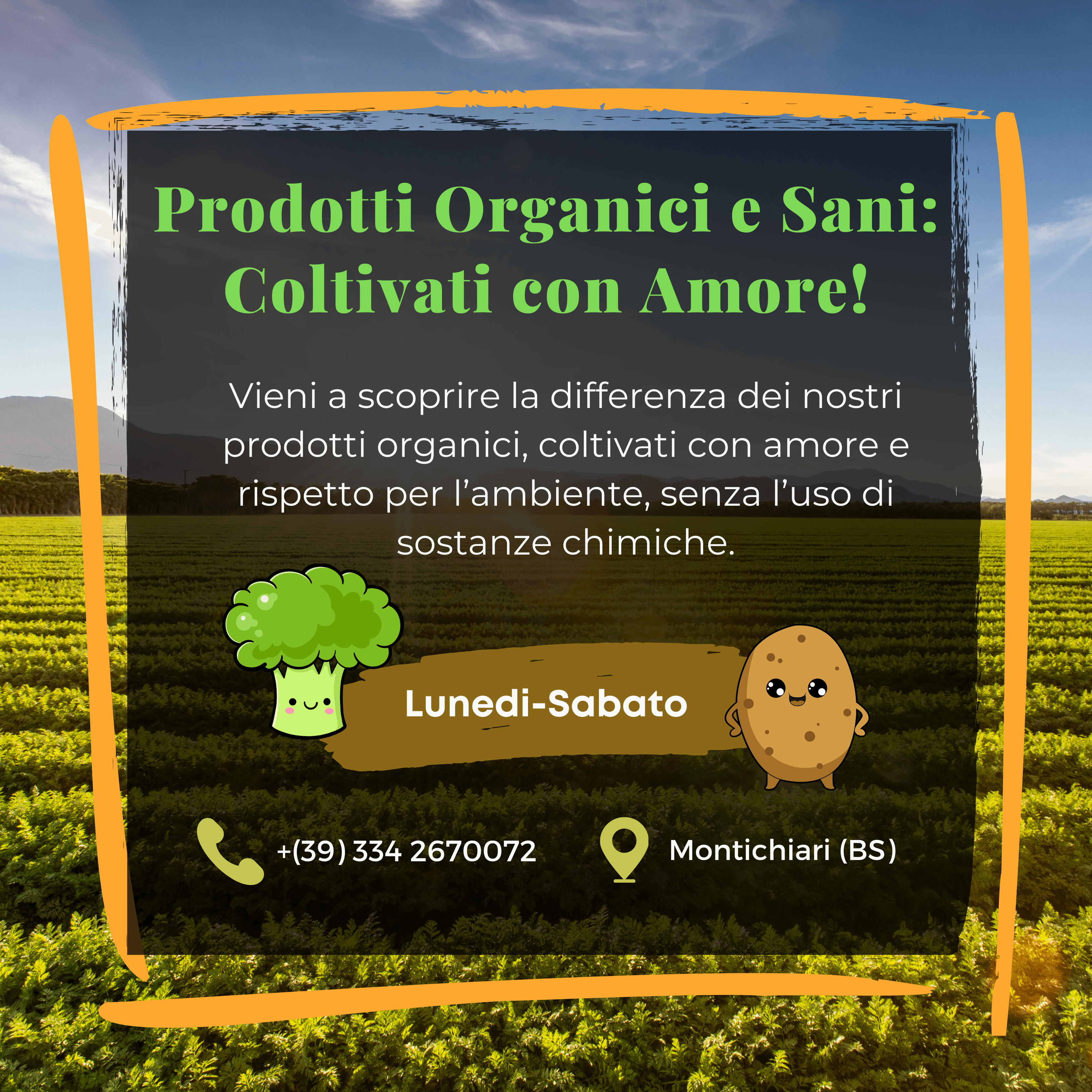 Carosello Instagram branding realizzato da Degani Agency